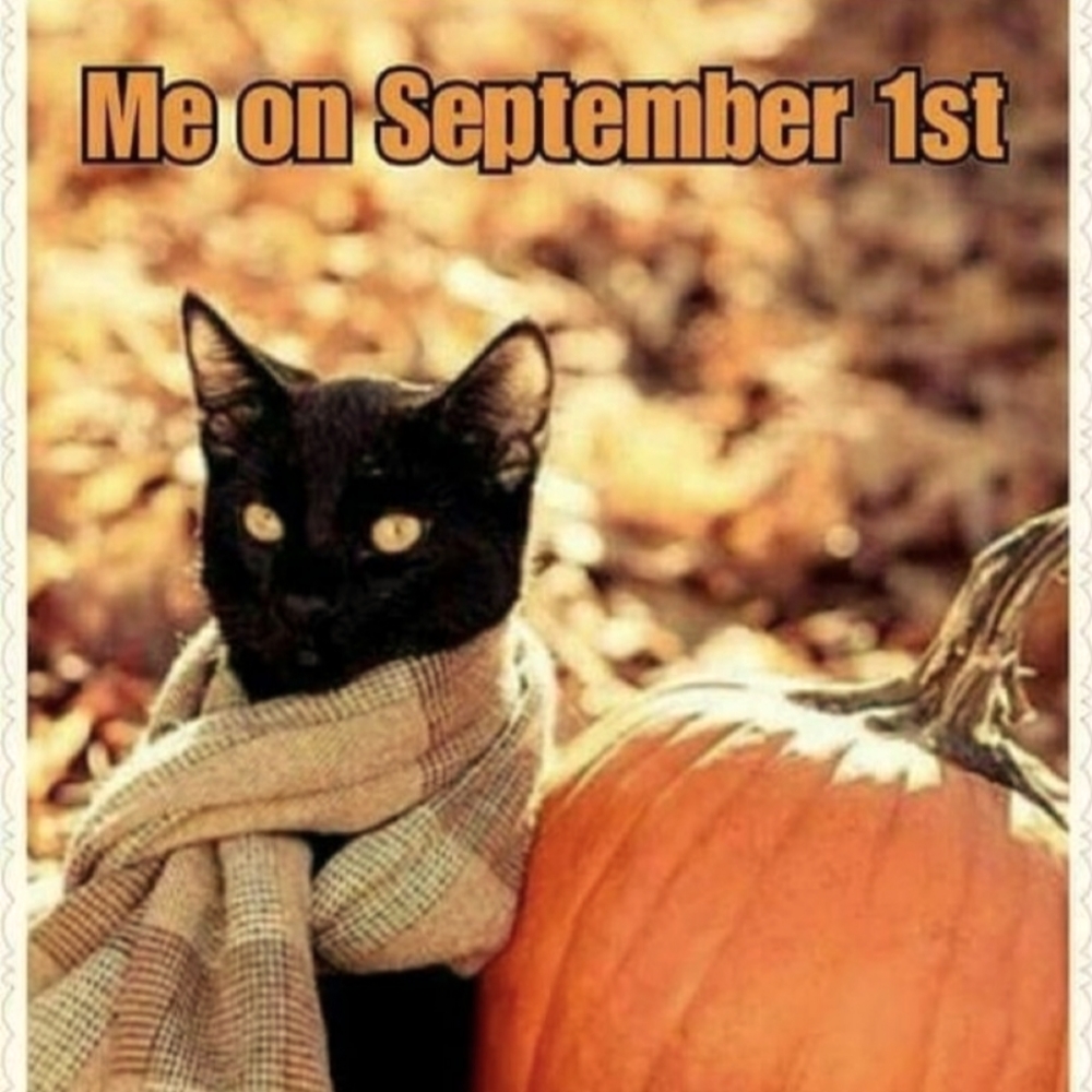 My First Follow Game! 🕰🐈‍⬛🍄🍂 - Picture 2 of 8